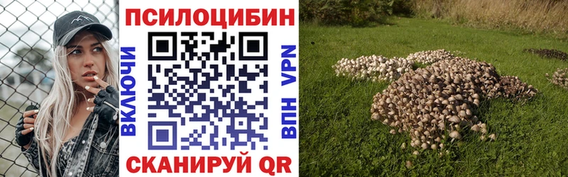 omg tor  Приозерск  Галлюциногенные грибы мухоморы 